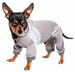 dog-helios-namastail-lightweight-4-way-stretch-breathable-full-bodied-performance-yoga-dog-hoodie-tracksuit12.jpg