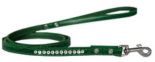 leash1.jpg