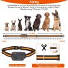 984FT Dog Training Collar