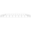 Dog Kennel Silver 1076.4 ft² Steel