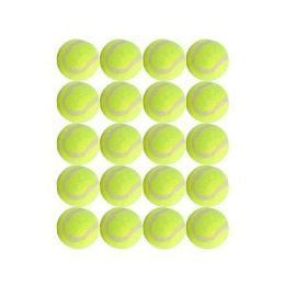 Dog Tennis Balls 20 Pack