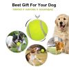 Dog Tennis Balls 20 Pack