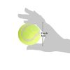 Dog Tennis Balls 20 Pack