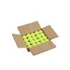 Dog Tennis Balls 20 Pack