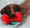 Bone Shaped Durable Chew and Fetch Dog Toy