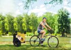 Yellow Dog Bike Trailer