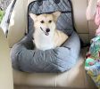 'Pawtrol' Dog Car Seat and Dog Bed