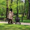 Dog Stroller with Foldable Carrier