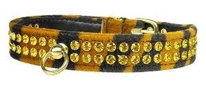 Jungle King Tiger Print Dog Collar (Size: 20)