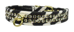 Jungle King Zebra Print Dog Collar (Size: 12)