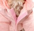 Lightweight Adjustable 'Sporty Avalanche' Dog Coat