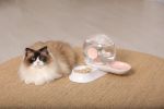 'Auto-Myst' 2-in-1 Filtered Automated Waterer w/Food Bowl