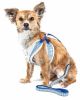 Pet Life Luxe 'Spawling' 2-In-1 Mesh Harness W/ Fashion Bowtie