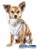 Pet Life Luxe 'Spawling' 2-In-1 Mesh Harness W/ Fashion Bowtie