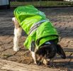 Reflecta-Glow Reflective Waterproof Adjustable PVC Pet Raincoat