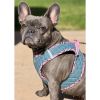 Step-In Denim Dog Harness